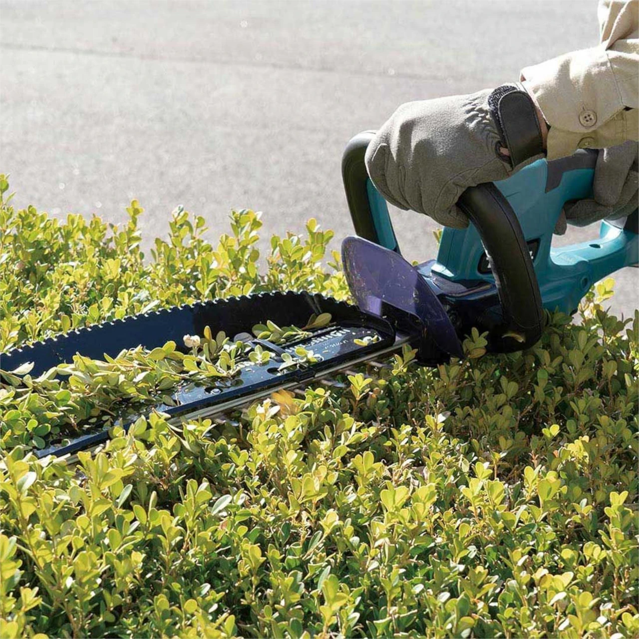 Makita 18V LXTBrushless 500mm Hedge Trimmer Body Only 2 Makita 18V LXTBrushless 500mm Hedge Trimmer Body Only - Image 2